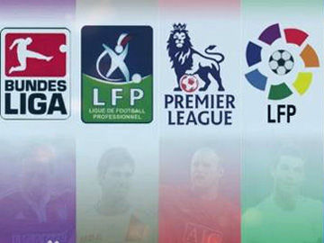 野的培养模 野的培养模